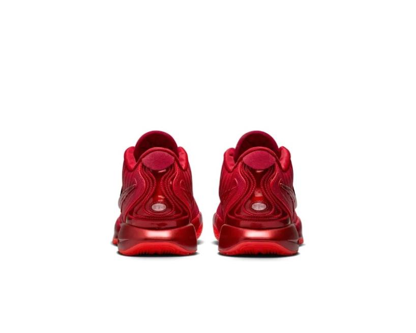 Nike LeBron 21 "James Gang" (HF5951-600) 