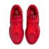 Nike LeBron 21 "James Gang" (HF5951-600) 