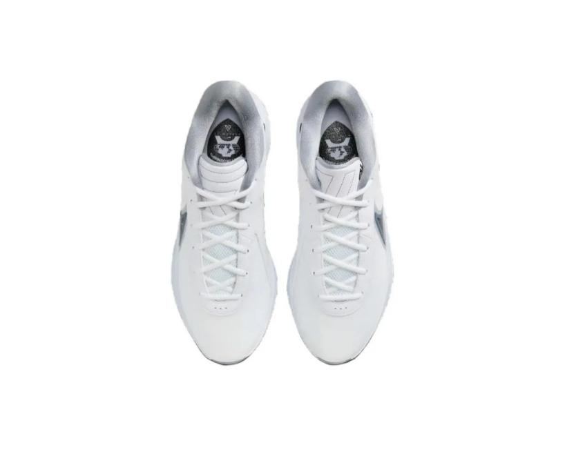 Nike Giannis Freak 6 "White/Wolf Grey/Black" (FQ7378-101)