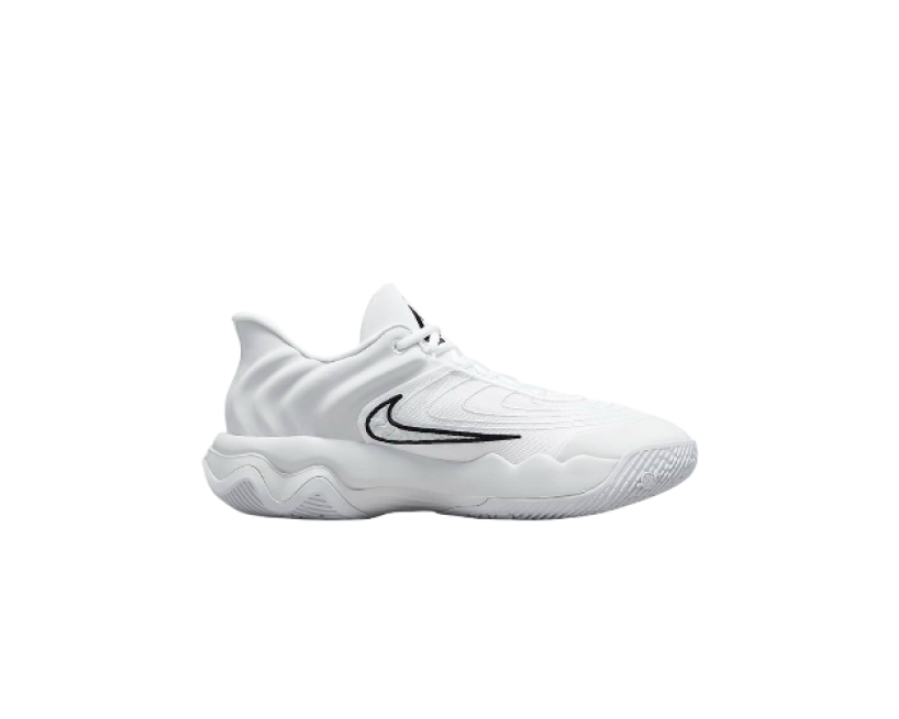 Nike Giannis Immortality 4 (FQ3681-100)