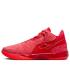 Nike Zoom LeBron NXXT Gen AMPD 'James Gang' (FJ1566-600)