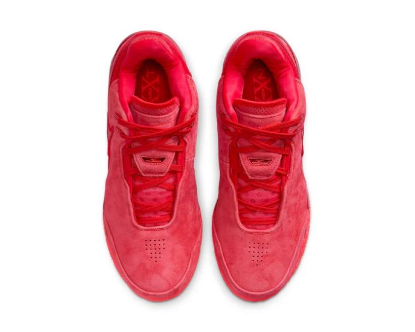 Nike Zoom LeBron NXXT Gen AMPD 'James Gang' (FJ1566-600)