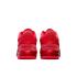 Nike Zoom LeBron NXXT Gen AMPD 'James Gang' (FJ1566-600)