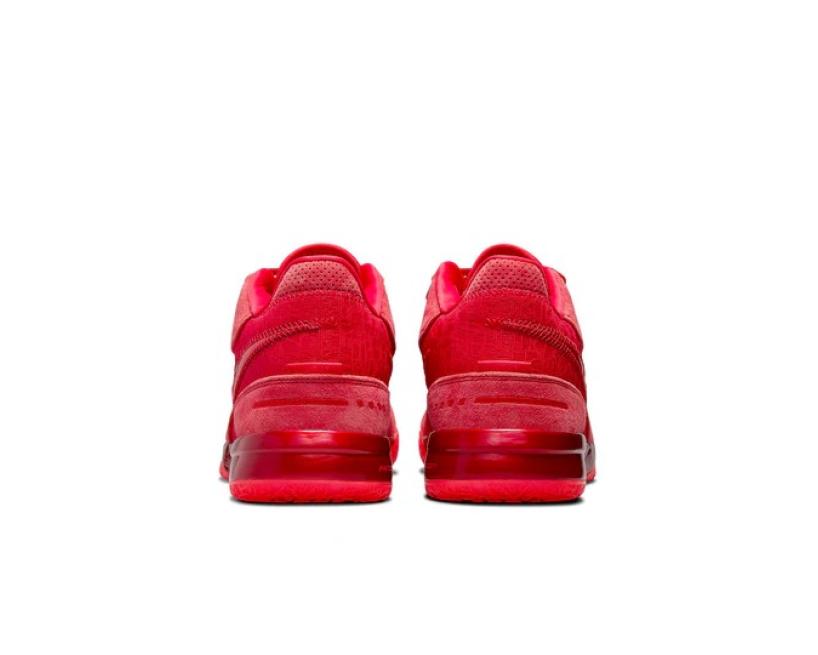 Nike Zoom LeBron NXXT Gen AMPD 'James Gang' (FJ1566-600)