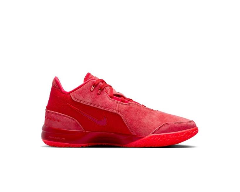Nike Zoom LeBron NXXT Gen AMPD 'James Gang' (FJ1566-600)