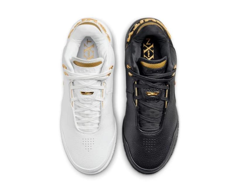 Nike Zoom LeBron NXXT Gen AMPD  'Equity' (FJ1567-103)