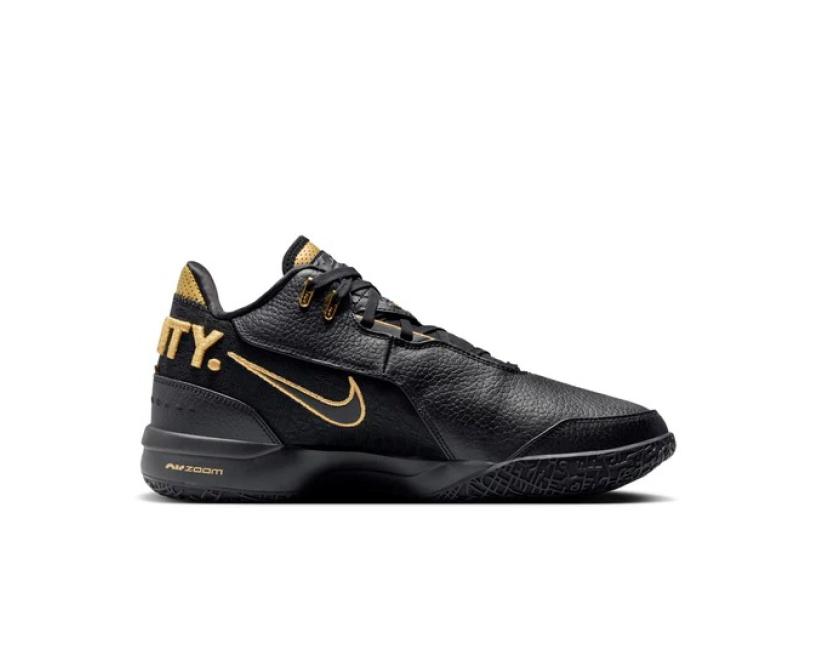Nike Zoom LeBron NXXT Gen AMPD  'Equity' (FJ1567-103)