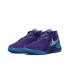 Nike LeBron NXXT Gen AMPD 'Field Purple'  (FJ1567-500)