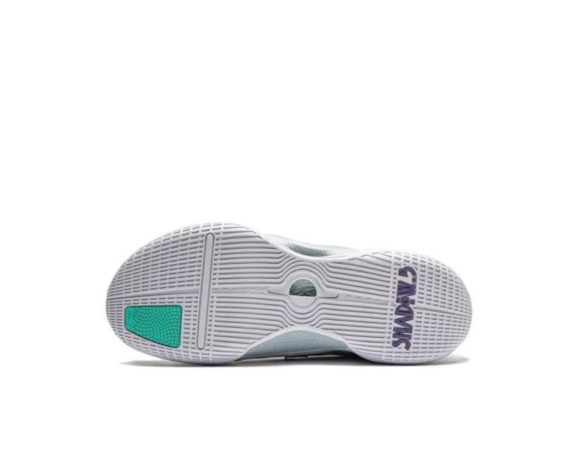 LiNing Way of Wade Shadow 5V2  “White/Blue” (ABPU009-3)