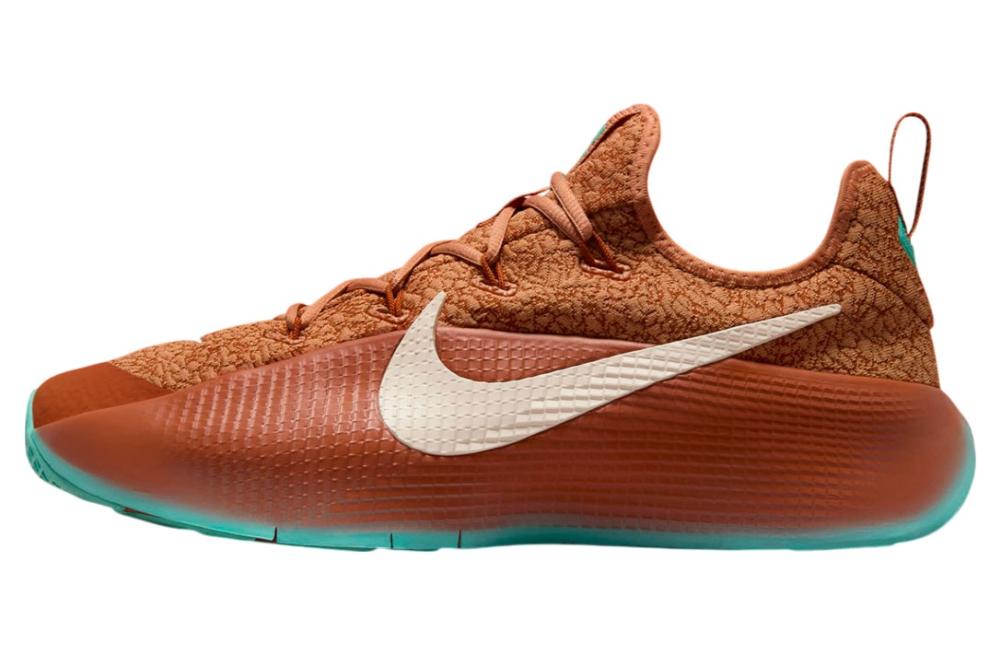 Nike LeBron TR 1 "Better With Age" (FJ6151-200)