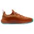 Nike LeBron TR 1 "Better With Age" (FJ6151-200)
