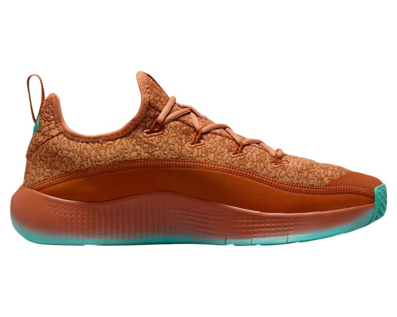 Nike LeBron TR 1 "Better With Age" (FJ6151-200)