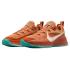 Nike LeBron TR 1 "Better With Age" (FJ6151-200)
