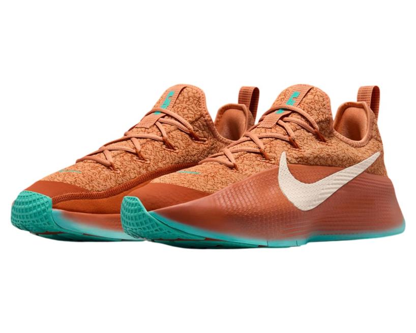 Nike LeBron TR 1 "Better With Age" (FJ6151-200)