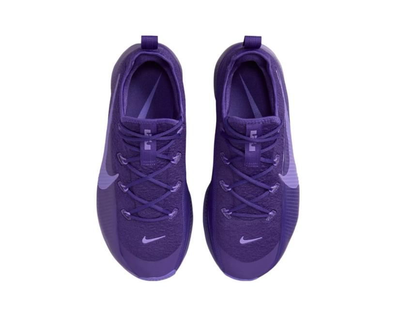 Nike LeBron TR1 "Purple Rain"  (FJ6151-500)