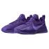 Nike LeBron TR1 "Purple Rain"  (FJ6151-500)