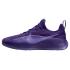 Nike LeBron TR1 "Purple Rain"  (FJ6151-500)