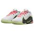 Nike LeBron 22 "Crown Jewel" (FZ1095-101)