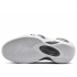 Nike Zoom Flight 95 "Black Metallic" (DM0523-001)