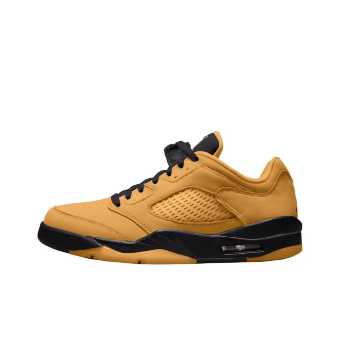 Air Jordan 5 Low "Chutney" (DA8016-700) 