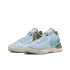 NIke LeBron NXXT Gen EP (DR8788-400)
