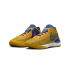Nike Lebron Nxxt Gen & Titan (DZ2916-700) 