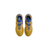 Nike Lebron Nxxt Gen & Titan (DZ2916-700) 