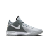 Nike Lebron Nxxt Gen "Wolf Grey" (DR8784-004)