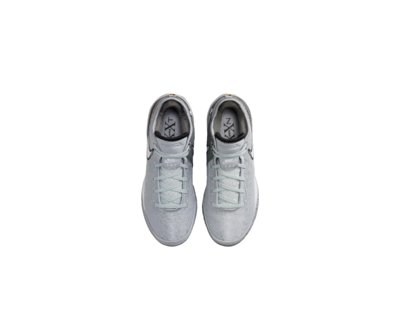 Nike Lebron Nxxt Gen "Wolf Grey" (DR8784-004)
