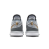 Nike Lebron Nxxt Gen "Wolf Grey" (DR8784-004)