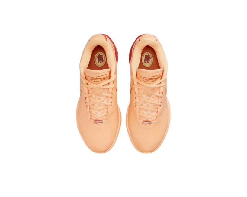 Nike LeBron 21 “Melon Tint” (FV2345-800)