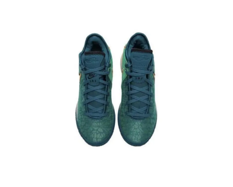 Nike LeBron NXXT Gen (DR8788-301)