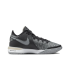 Nike Lebron NXXT Gen EP 'Wolf Grey' (DR8788-005)