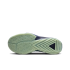 Nike Zoom Freak 5 EP 'Nigerian' (DX4996-300)