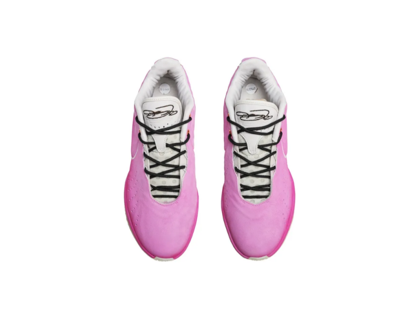 Nike Lebron 21 EP - Кастом (FV2346-001)