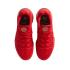 Nike LeBron 17 Low (CD5008-600)