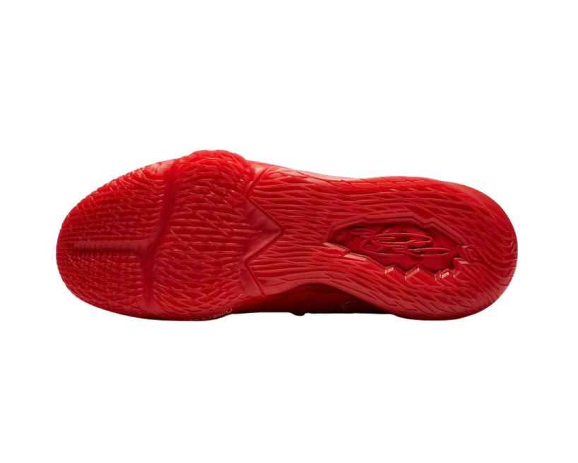 Nike LeBron 17 Low (CD5008-600)