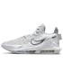 Nike LeBron Witness 6 "Summit White Metallic Pewter" (cz4052-102)