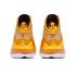 Nike LeBron 19 "Yellow White" (dc9340-700)