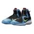 Nike LeBron 9 "South Coast" (DO5838-001)