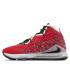 Nike LeBron 17 (bq3178-601)