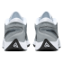 Nike Giannis Freak 6 EP "Wolf Grey/White" (FV1292-001)