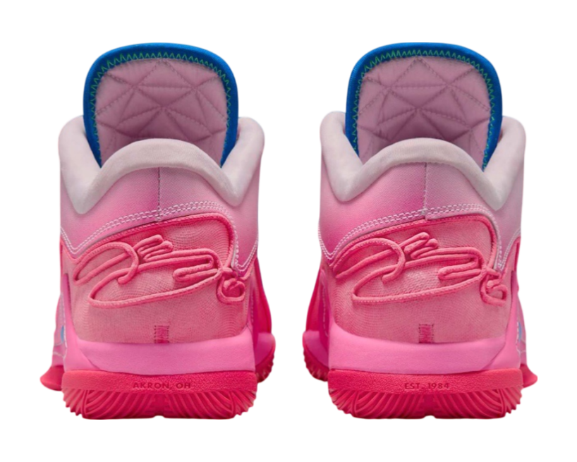 Nike LeBron 22 SN EP "I Promise" (HV8456-600)