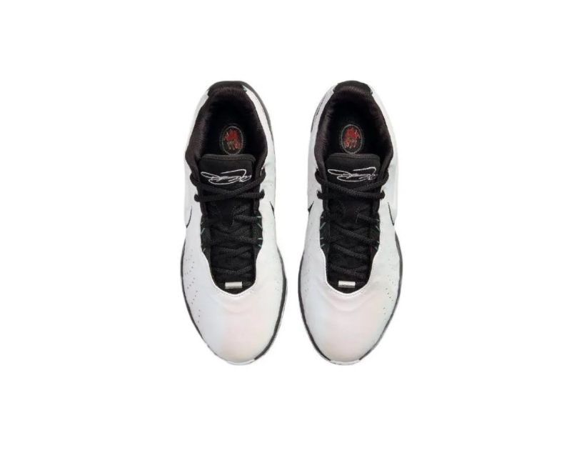 Nike LeBron 21 "Conchiolin" (HF5841-100)