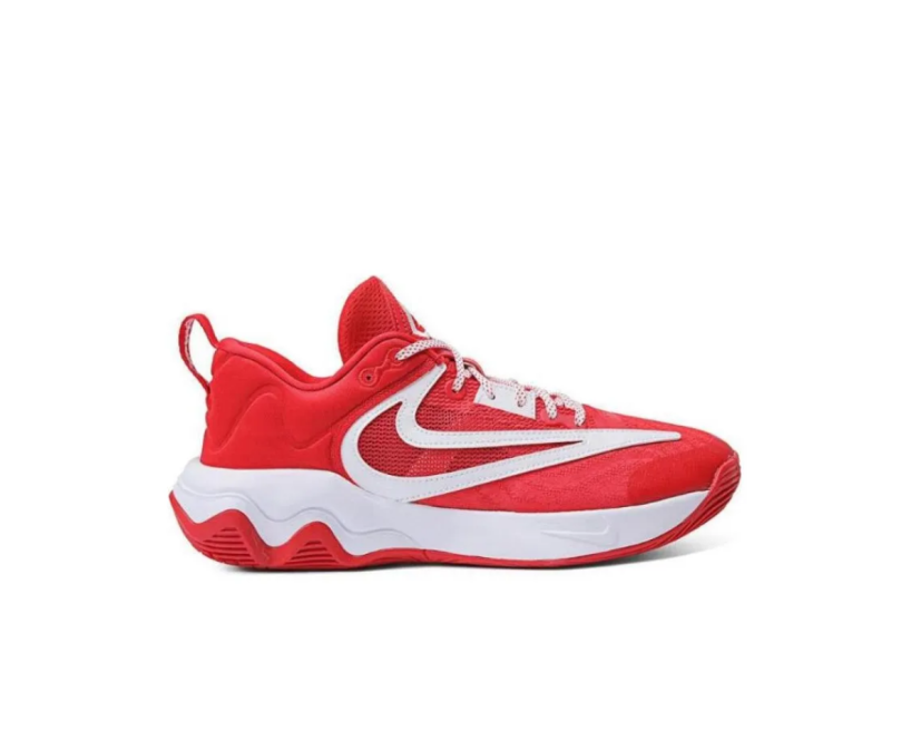 Nike Giannis Immortality 3 (FV4080-600)