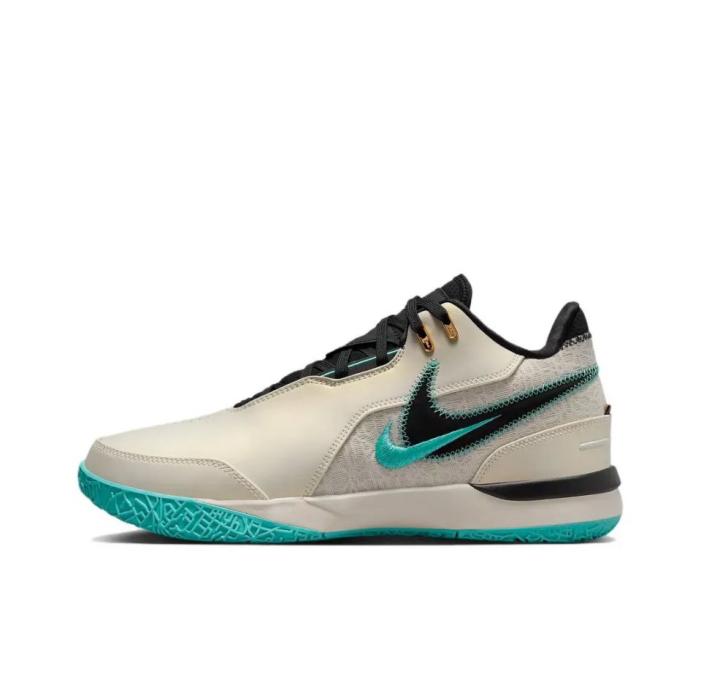 Nike LeBron NXXT Gen AMPD (FJ1567-101)
