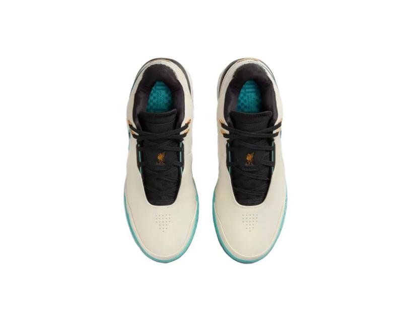 Nike LeBron NXXT Gen AMPD (FJ1567-101)
